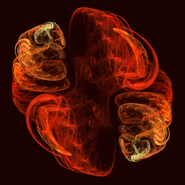 Abstract fractal art with swirling red and orange organic shapes symbolizing metamorphosis and energy.